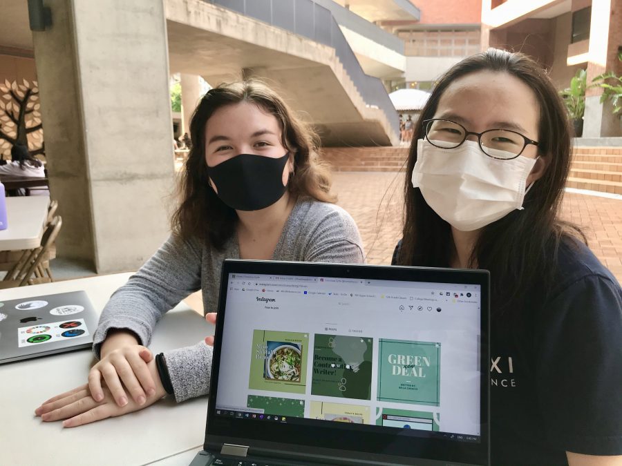 By creating their website, Heather P. (‘21) and Megan B. (‘21) hope to create new opportunities for TAS students to take action for environmental awareness. [AMANDA DING/THE BLUE&GOLD]